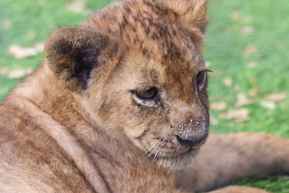 ltx 1045 cub cadet manual