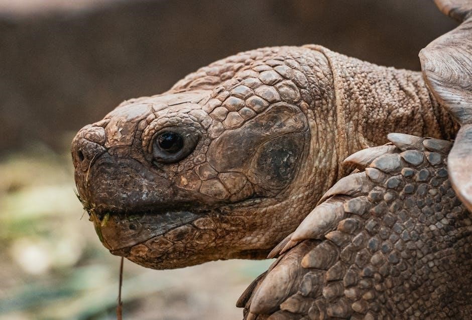 az-900 exam dumps pdf free download