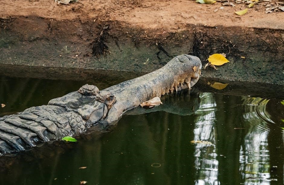 ventures 4 student book pdf free download