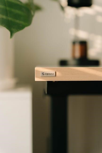 optoma projector instruction manual