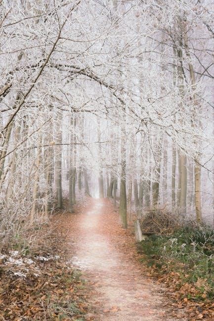 dragonflight alchemy leveling guide